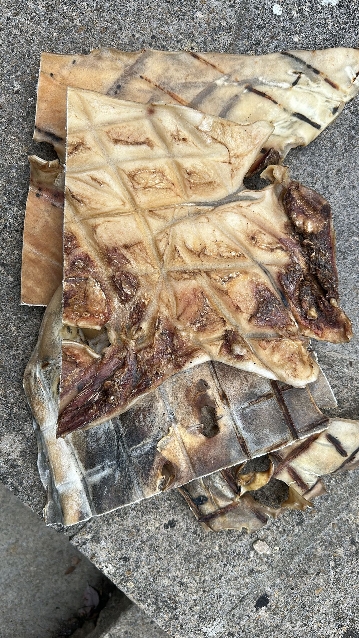 Hairless Beef Bark