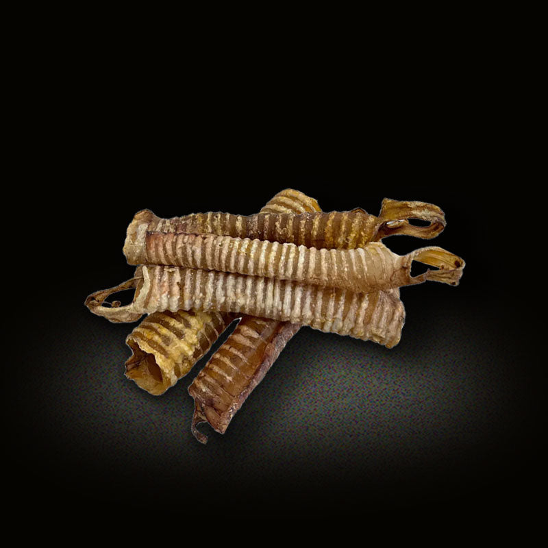 Beef Trachea