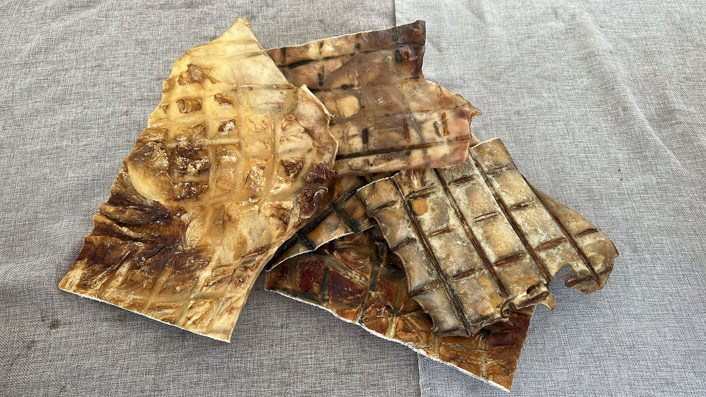 Hairless Beef Bark