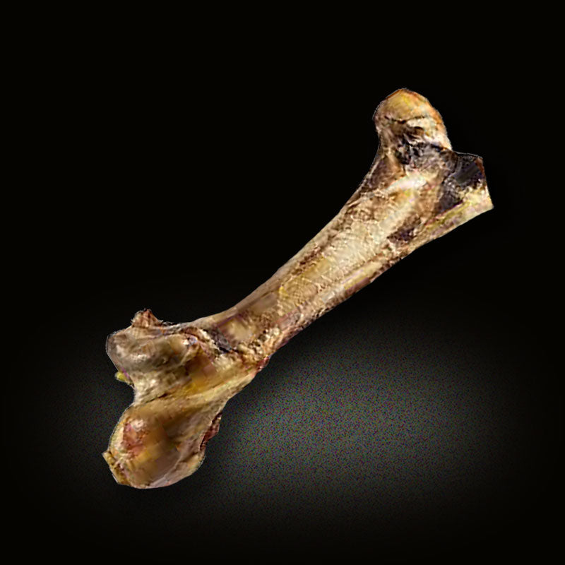 Ostrich Bone Offer - Buy 1 for £9.00 Buy 2 for £17.00