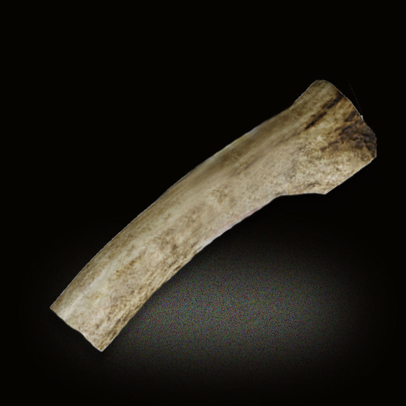 Antler Chew