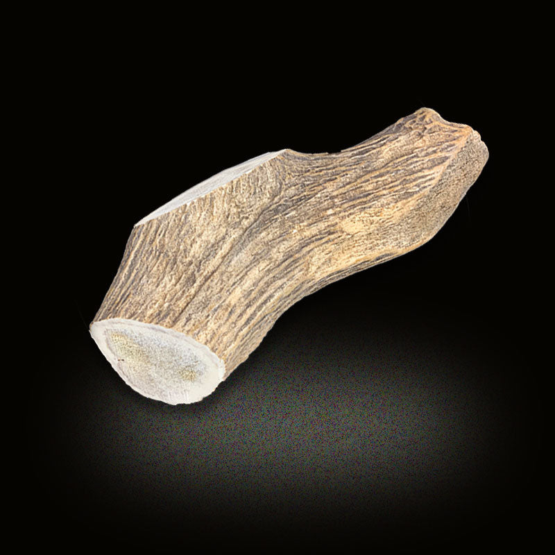 Antler Chew