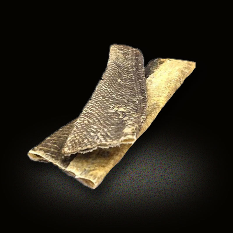 Fish Skin Flatties