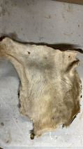 Beef Bark - 3 pieces