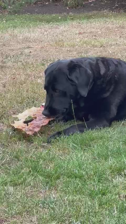 Hairless Beef Bark
