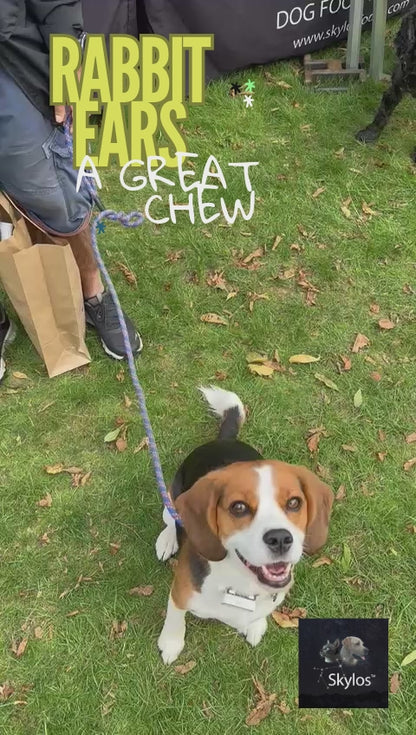 Rabbit Ears  -  1 kg Special Offer & free delivery