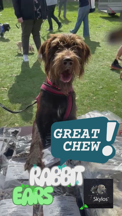 Rabbit Ears  -  1 kg Special Offer & free delivery