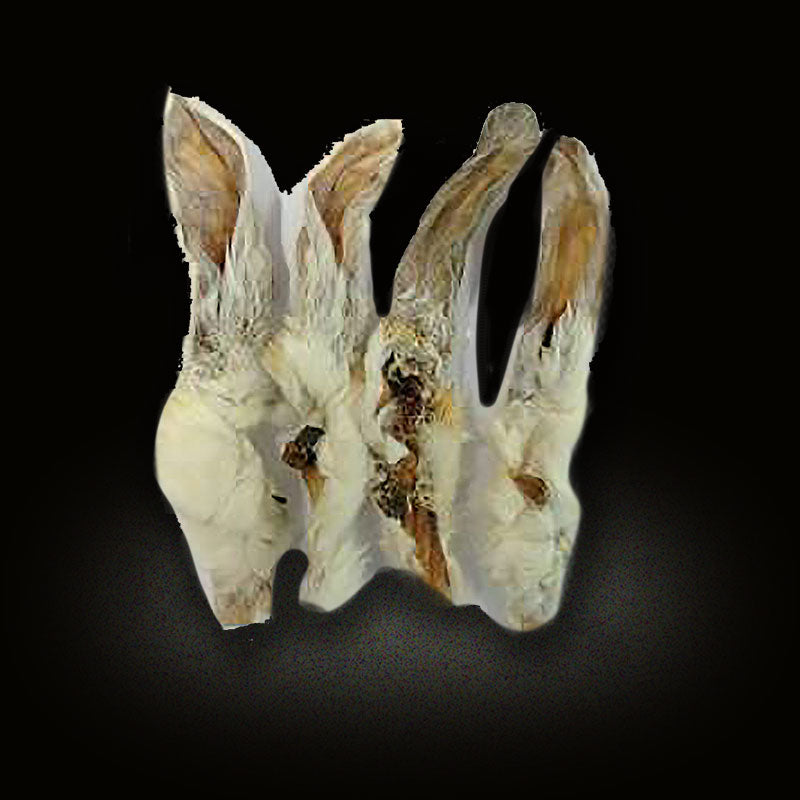 Rabbit Ears (Grade A) - 1kg Special Offer & free delivery