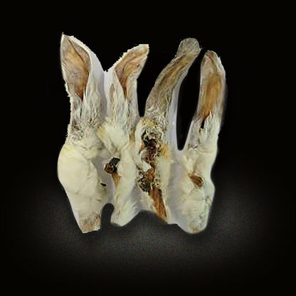 Rabbit Ears (Grade A) - 1kg Special Offer & free delivery